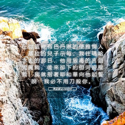 Picture 05 - 列 王 紀 上 2:8 CUVT - 在 你 這 裡 有 巴 戶 琳 的 便 雅 憫 - Bible Verse Picture
