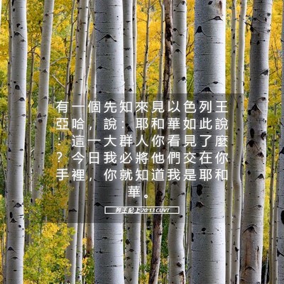 Picture 05 - 列 王 紀 上 20:13 CUVT - 有 一 個 先 知 來 見 以 色 列 王 亞 - Bible Verse Picture