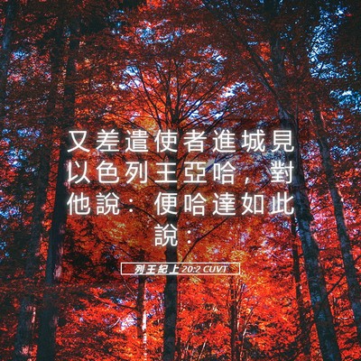 Picture 05 - 列 王 紀 上 20:2 CUVT - 又 差 遣 使 者 進 城 見 以 色 列 王 - Bible Verse Picture