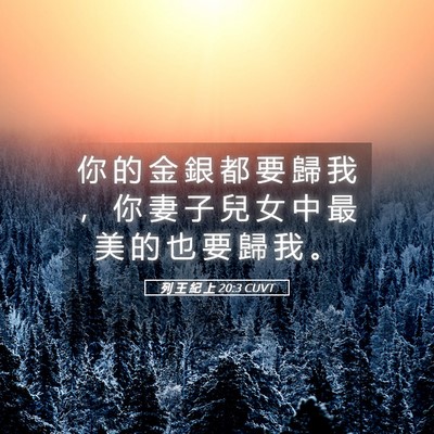 Picture 05 - 列 王 紀 上 20:3 CUVT - 你 的 金 銀 都 要 歸 我 ， 你 妻 子 - Bible Verse Picture