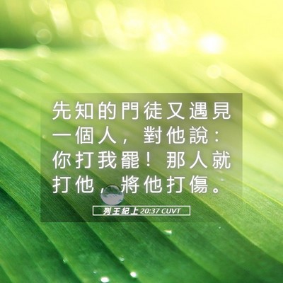 Picture 05 - 列 王 紀 上 20:37 CUVT - 先 知 的 門 徒 又 遇 見 一 個 人 ， - Bible Verse Picture
