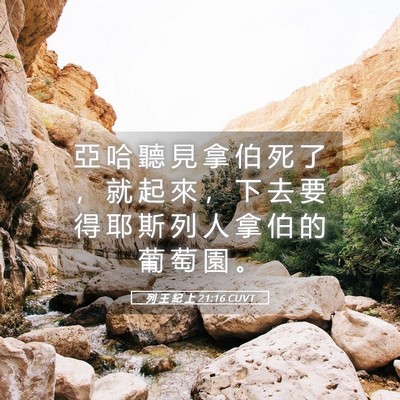 Picture 05 - 列 王 紀 上 21:16 CUVT - 亞 哈 聽 見 拿 伯 死 了 ， 就 起 來 - Bible Verse Picture