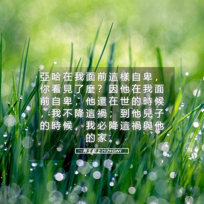 Picture 05 - 列 王 紀 上 21:29 CUVT - 亞 哈 在 我 面 前 這 樣 自 卑 ， 你 - Bible Verse Picture