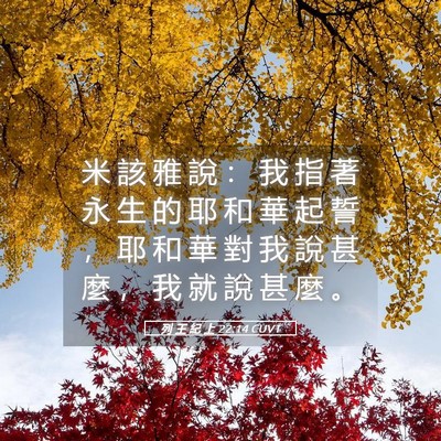Picture 05 - 列 王 紀 上 22:14 CUVT - 米 該 雅 說 ： 我 指 著 永 生 的 耶 - Bible Verse Picture