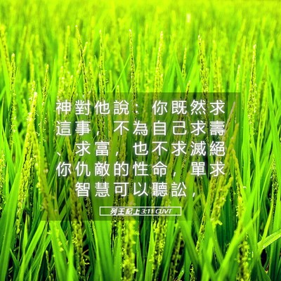 Picture 05 - 列 王 紀 上 3:11 CUVT - 神 對 他 說 ： 你 既 然 求 這 事 ， - Bible Verse Picture