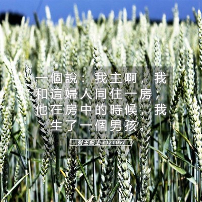 Picture 05 - 列 王 紀 上 3:17 CUVT - 一 個 說 ： 我 主 啊 ， 我 和 這 婦 - Bible Verse Picture