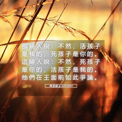 Picture 05 - 列 王 紀 上 3:22 CUVT - 那 婦 人 說 ： 不 然 ， 活 孩 子 是 - Bible Verse Picture