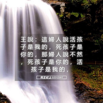 Picture 05 - 列 王 紀 上 3:23 CUVT - 王 說 ： 這 婦 人 說 活 孩 子 是 我 - Bible Verse Picture