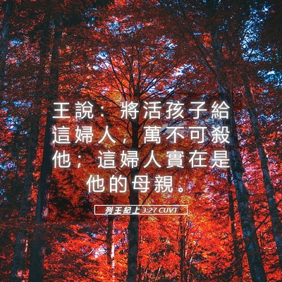 Picture 05 - 列 王 紀 上 3:27 CUVT - 王 說 ： 將 活 孩 子 給 這 婦 人 ， - Bible Verse Picture