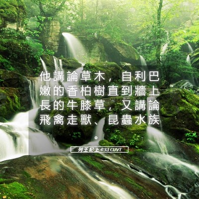 Picture 05 - 列 王 紀 上 4:33 CUVT - 他 講 論 草 木 ， 自 利 巴 嫩 的 香 - Bible Verse Picture