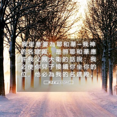 Picture 05 - 列 王 紀 上 5:5 CUVT - 我 定 意 要 為 耶 和 華 ─ 我 神 的 - Bible Verse Picture