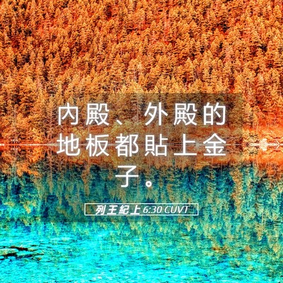 Picture 05 - 列 王 紀 上 6:30 CUVT - 內 殿 、 外 殿 的 地 板 都 貼 上 金 - Bible Verse Picture
