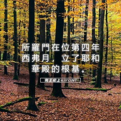 Picture 05 - 列 王 紀 上 6:37 CUVT - 所 羅 門 在 位 第 四 年 西 弗 月 ， - Bible Verse Picture