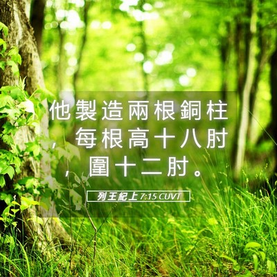 Picture 05 - 列 王 紀 上 7:15 CUVT - 他 製 造 兩 根 銅 柱 ， 每 根 高 十 - Bible Verse Picture