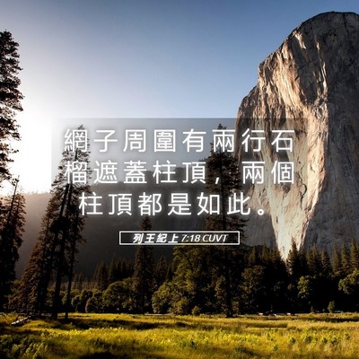 Picture 05 - 列 王 紀 上 7:18 CUVT - 網 子 周 圍 有 兩 行 石 榴 遮 蓋 柱 - Bible Verse Picture