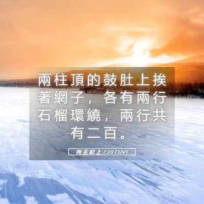 Picture 05 - 列 王 紀 上 7:20 CUVT - 兩 柱 頂 的 鼓 肚 上 挨 著 網 子 ， - Bible Verse Picture