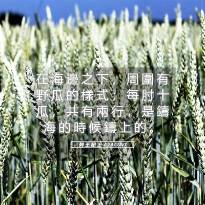 Picture 05 - 列 王 紀 上 7:24 CUVT - 在 海 邊 之 下 ， 周 圍 有 野 瓜 的 - Bible Verse Picture