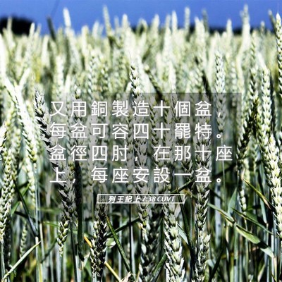 Picture 05 - 列 王 紀 上 7:38 CUVT - 又 用 銅 製 造 十 個 盆 ， 每 盆 可 - Bible Verse Picture