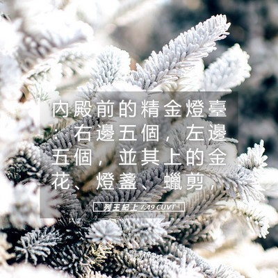 Picture 05 - 列 王 紀 上 7:49 CUVT - 內 殿 前 的 精 金 燈 臺 ： 右 邊 五 - Bible Verse Picture