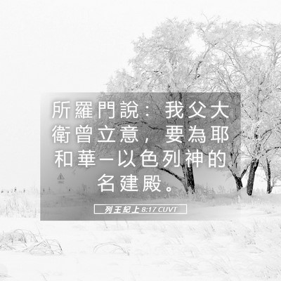 Picture 05 - 列 王 紀 上 8:17 CUVT - 所 羅 門 說 ： 我 父 大 衛 曾 立 意 - Bible Verse Picture