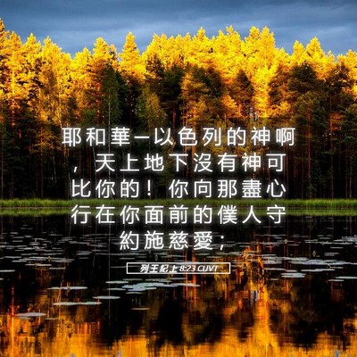 Picture 05 - 列 王 紀 上 8:23 CUVT - 耶 和 華 ─ 以 色 列 的 神 啊 ， 天 - Bible Verse Picture