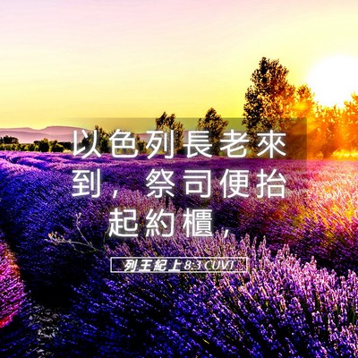 Picture 05 - 列 王 紀 上 8:3 CUVT - 以 色 列 長 老 來 到 ， 祭 司 便 抬 - Bible Verse Picture