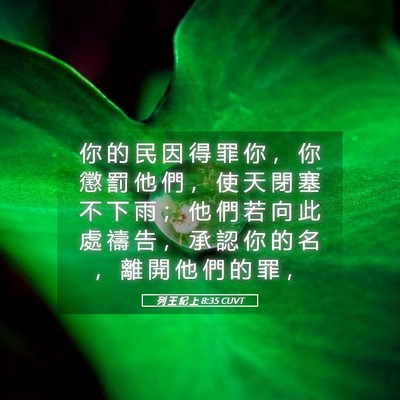 Picture 05 - 列 王 紀 上 8:35 CUVT - 你 的 民 因 得 罪 你 ， 你 懲 罰 他 - Bible Verse Picture