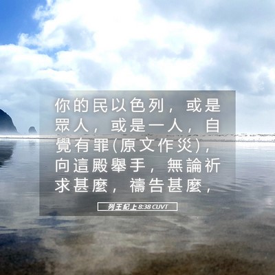 Picture 05 - 列 王 紀 上 8:38 CUVT - 你 的 民 以 色 列 ， 或 是 眾 人 ， - Bible Verse Picture