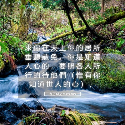 Picture 05 - 列 王 紀 上 8:39 CUVT - 求 你 在 天 上 你 的 居 所 垂 聽 赦 - Bible Verse Picture