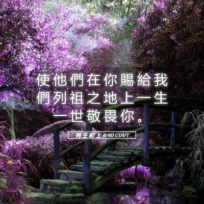 Picture 05 - 列 王 紀 上 8:40 CUVT - 使 他 們 在 你 賜 給 我 們 列 祖 之 - Bible Verse Picture