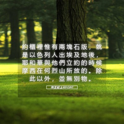 Picture 05 - 列 王 紀 上 8:9 CUVT - 約 櫃 裡 惟 有 兩 塊 石 版 ， 就 是 - Bible Verse Picture