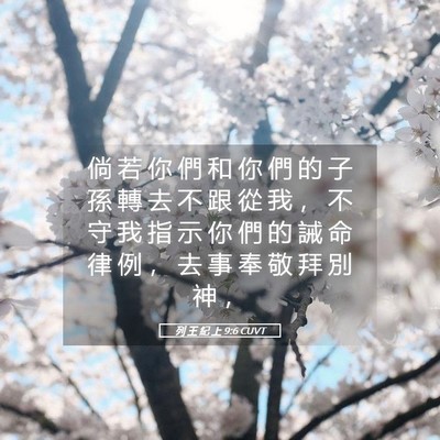 Picture 05 - 列 王 紀 上 9:6 CUVT - 倘 若 你 們 和 你 們 的 子 孫 轉 去 - Bible Verse Picture