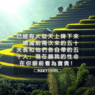 Picture 05 - 列 王 紀 下 1:14 CUVT - 已 經 有 火 從 天 上 降 下 來 ， 燒 - Bible Verse Picture