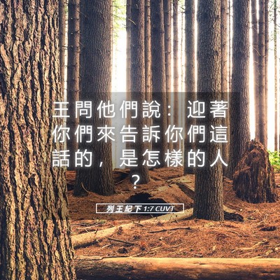 Picture 05 - 列 王 紀 下 1:7 CUVT - 王 問 他 們 說 ： 迎 著 你 們 來 告 - Bible Verse Picture