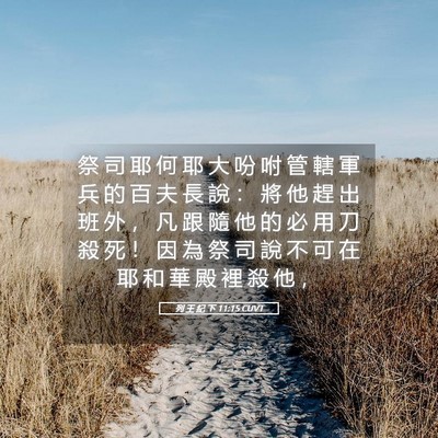 Picture 05 - 列 王 紀 下 11:15 CUVT - 祭 司 耶 何 耶 大 吩 咐 管 轄 軍 兵 - Bible Verse Picture