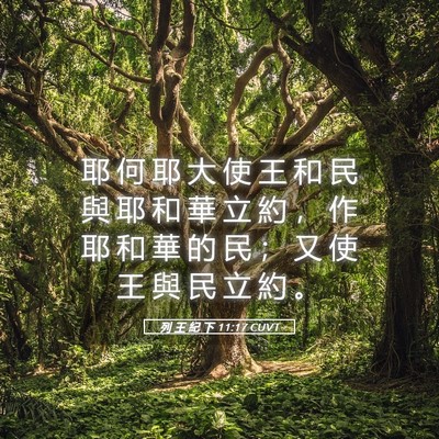 Picture 05 - 列 王 紀 下 11:17 CUVT - 耶 何 耶 大 使 王 和 民 與 耶 和 華 - Bible Verse Picture