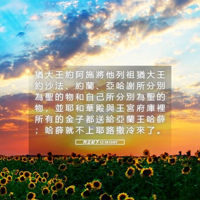 Picture 05 - 列 王 紀 下 12:18 CUVT - 猶 大 王 約 阿 施 將 他 列 祖 猶 大 - Bible Verse Picture