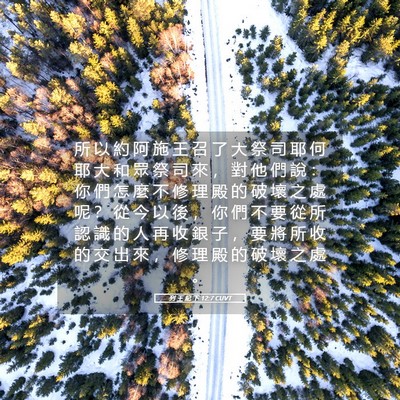 Picture 05 - 列 王 紀 下 12:7 CUVT - 所 以 約 阿 施 王 召 了 大 祭 司 耶 - Bible Verse Picture