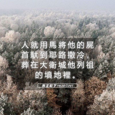 Picture 05 - 列 王 紀 下 14:20 CUVT - 人 就 用 馬 將 他 的 屍 首 馱 到 耶 - Bible Verse Picture