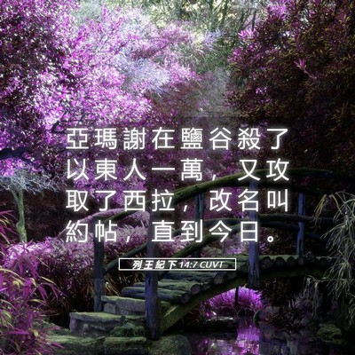 Picture 05 - 列 王 紀 下 14:7 CUVT - 亞 瑪 謝 在 鹽 谷 殺 了 以 東 人 一 - Bible Verse Picture
