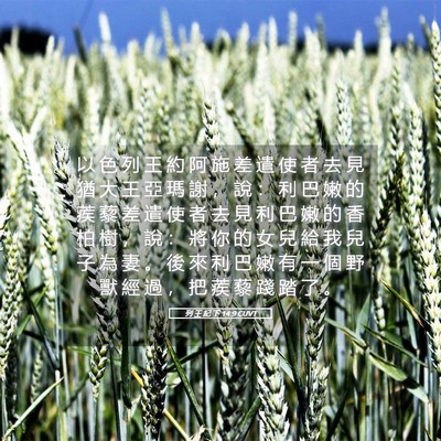 Picture 05 - 列 王 紀 下 14:9 CUVT - 以 色 列 王 約 阿 施 差 遣 使 者 去 - Bible Verse Picture