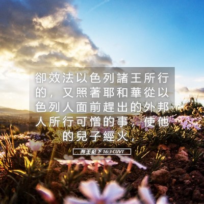 Picture 05 - 列 王 紀 下 16:3 CUVT - 卻 效 法 以 色 列 諸 王 所 行 的 ， - Bible Verse Picture