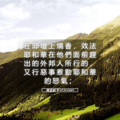 Picture 05 - 列 王 紀 下 17:11 CUVT - 在 邱 壇 上 燒 香 ， 效 法 耶 和 華 - Bible Verse Picture