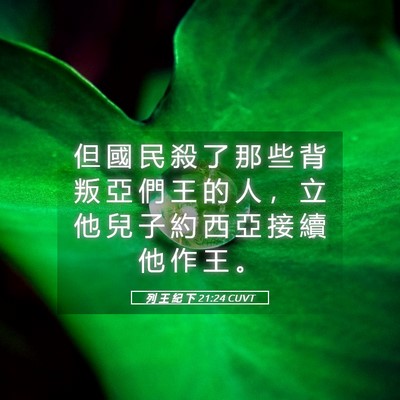 Picture 05 - 列 王 紀 下 21:24 CUVT - 但 國 民 殺 了 那 些 背 叛 亞 們 王 - Bible Verse Picture