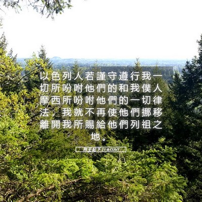 Picture 05 - 列 王 紀 下 21:8 CUVT - 以 色 列 人 若 謹 守 遵 行 我 一 切 - Bible Verse Picture