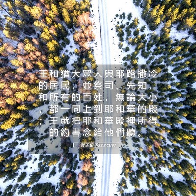 Picture 05 - 列 王 紀 下 23:2 CUVT - 王 和 猶 大 眾 人 與 耶 路 撒 冷 的 - Bible Verse Picture