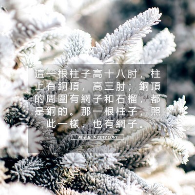 Picture 05 - 列 王 紀 下 25:17 CUVT - 這 一 根 柱 子 高 十 八 肘 ， 柱 上 - Bible Verse Picture
