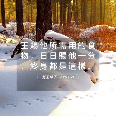 Picture 05 - 列 王 紀 下 25:30 CUVT - 王 賜 他 所 需 用 的 食 物 ， 日 日 - Bible Verse Picture