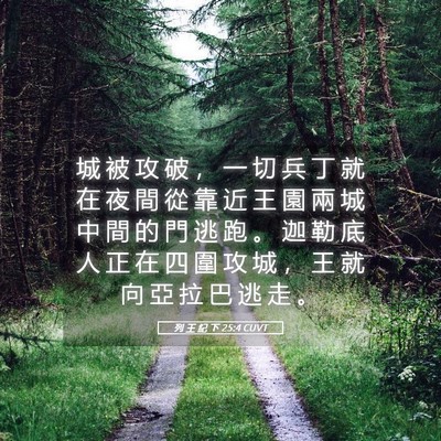 Picture 05 - 列 王 紀 下 25:4 CUVT - 城 被 攻 破 ， 一 切 兵 丁 就 在 夜 - Bible Verse Picture