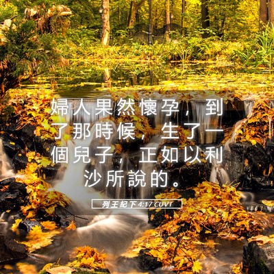 Picture 05 - 列 王 紀 下 4:17 CUVT - 婦 人 果 然 懷 孕 ， 到 了 那 時 候 - Bible Verse Picture